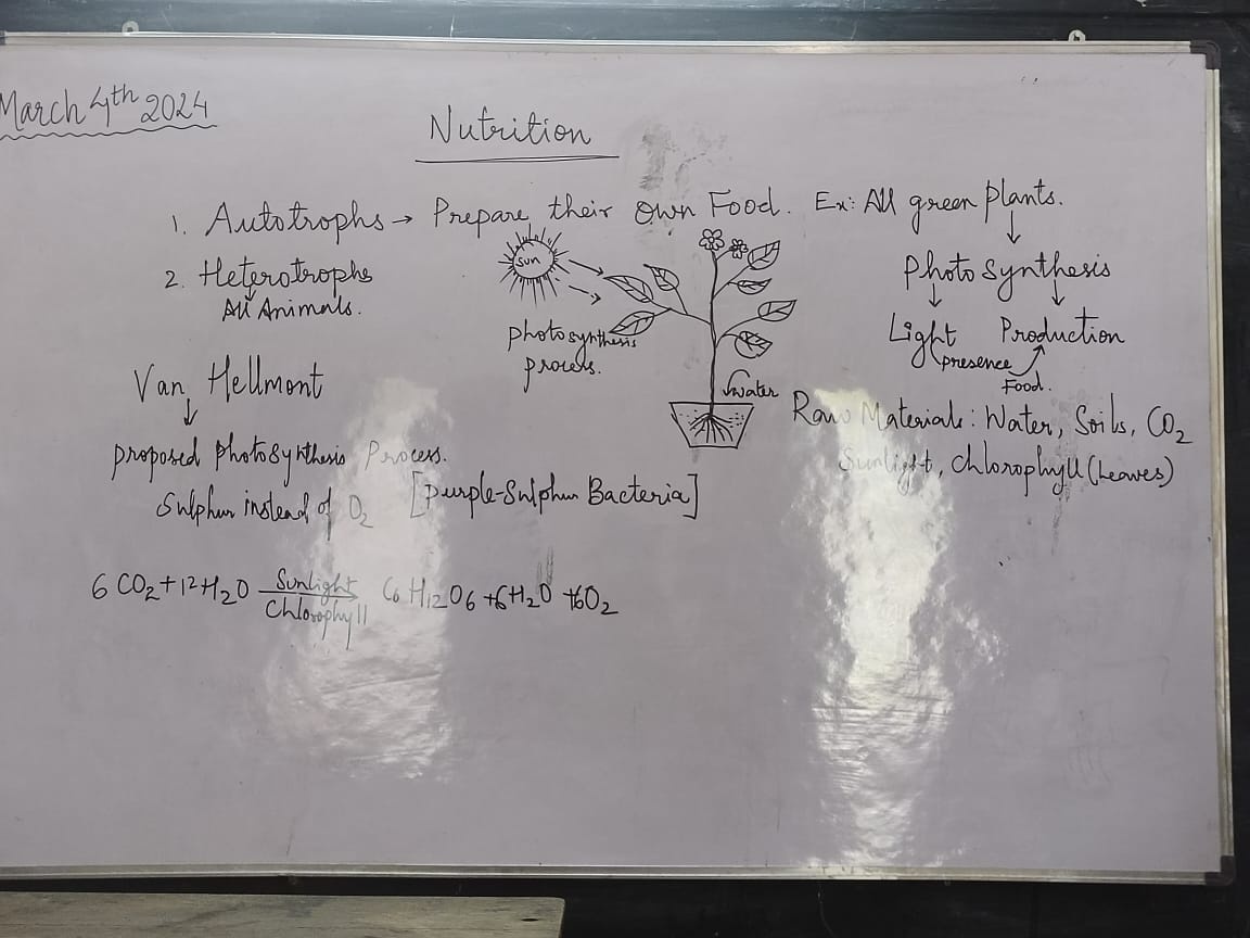 Peer Teaching Day Activity 2